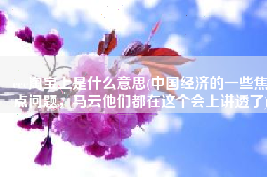 cec淘宝上是什么意思(中国经济的一些焦点问题，马云他们都在这个会上讲透了)