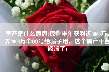 黑产是什么意思(惊！半年获利近3000万，养2000万个QQ号给骗子用，这个黑产平台被端了)