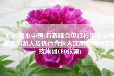 红杉资本中国(石泰峰会见红杉资本中国基金创始人及执行合伙人沈南鹏和远景科技集团CEO张雷)