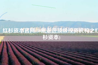 红杉资本官网(36氪走进顶级投资机构之红杉资本)