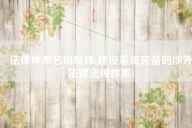 法律体系名词解释(建设系统完备的涉外法律法规体系)