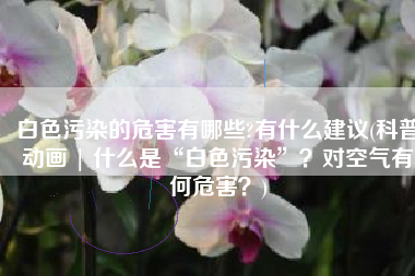 白色污染的危害有哪些?有什么建议(科普动画 | 什么是“白色污染”？对空气有何危害？)