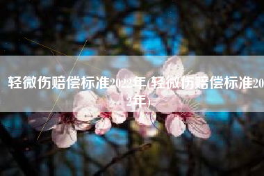 轻微伤赔偿标准2022年(轻微伤赔偿标准2022年)