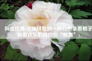 阿亚拉舞(在迪拜看到一群白袍拿着棍子跳着欢乐的阿拉伯“棍舞”)