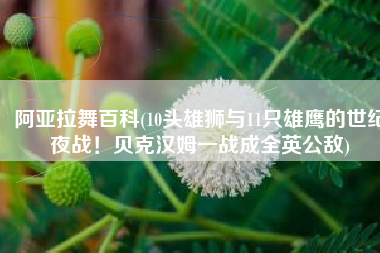 阿亚拉舞百科(10头雄狮与11只雄鹰的世纪夜战！贝克汉姆一战成全英公敌)
