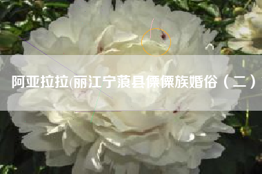 阿亚拉拉(丽江宁蒗县傈僳族婚俗（二）)