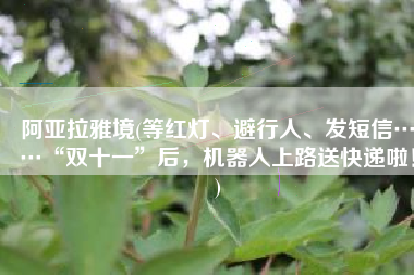 阿亚拉雅境(等红灯、避行人、发短信……“双十一”后，机器人上路送快递啦！)