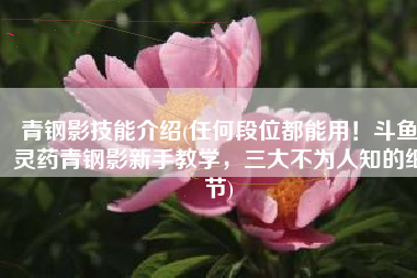青钢影技能介绍(任何段位都能用！斗鱼灵药青钢影新手教学，三大不为人知的细节)
