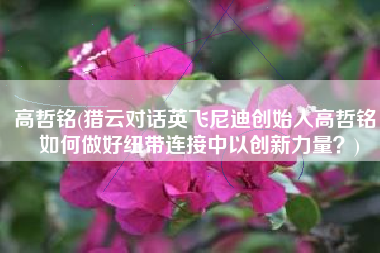 高哲铭(猎云对话英飞尼迪创始人高哲铭，如何做好纽带连接中以创新力量？)