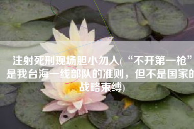 注射死刑现场胆小勿入(“不开第一枪”是我台海一线部队的准则，但不是国家的战略束缚)