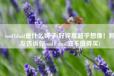 cool1dual是什么牌子(好评度超乎想像！网友告诉你cool1 dual值不值得买)
