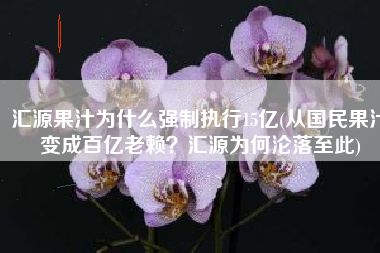 汇源果汁为什么强制执行15亿(从国民果汁变成百亿老赖？汇源为何沦落至此)