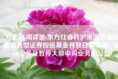 方正ceb阅读器(东方红睿轩沪港深灵活配置混合型证券投资基金开放日常申购、赎回业务及暂停大额申购业务的公告)