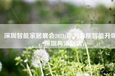 深圳智能家居展会2021(华为全屋智能升级，深圳再添新店)