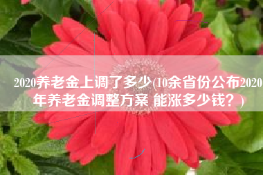 2020养老金上调了多少(10余省份公布2020年养老金调整方案 能涨多少钱？)
