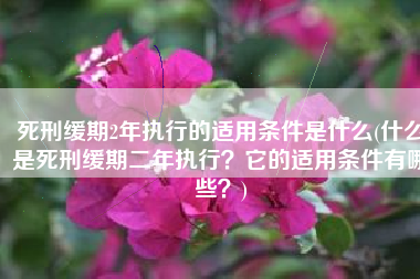 死刑缓期2年执行的适用条件是什么(什么是死刑缓期二年执行？它的适用条件有哪些？)