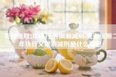 死刑缓期2年执行,并限制减刑(死刑缓期二年执行又限制减刑是什么意思)
