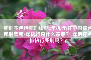 死刑不包括死刑缓期2年执行(在中国被判死刑缓期2年执行是什么意思？2年后还会被执行死刑吗？)