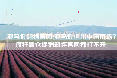 亚马逊购物官网(亚马逊退出中国市场？疯狂清仓促销却连官网都打不开)