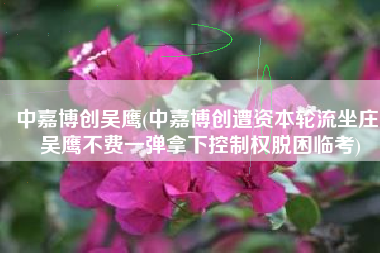 中嘉博创吴鹰(中嘉博创遭资本轮流坐庄 吴鹰不费一弹拿下控制权脱困临考)