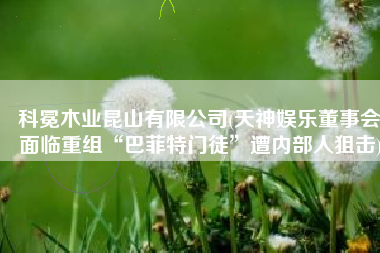 科冕木业昆山有限公司(天神娱乐董事会面临重组“巴菲特门徒”遭内部人狙击)
