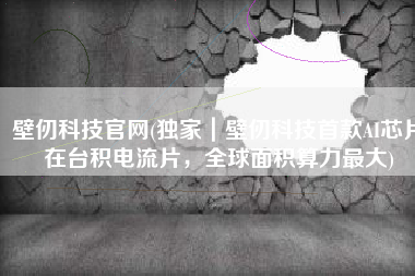 壁仞科技官网(独家｜壁仞科技首款AI芯片在台积电流片，全球面积算力最大)