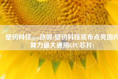 壁仞科技gpu造假(壁仞科技宣布点亮国内算力最大通用GPU芯片)