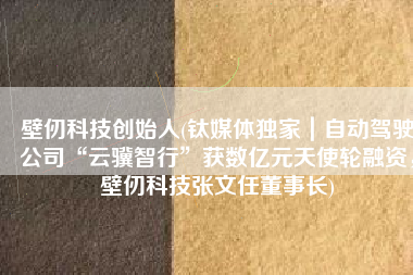 壁仞科技创始人(钛媒体独家｜自动驾驶公司“云骥智行”获数亿元天使轮融资，壁仞科技张文任董事长)