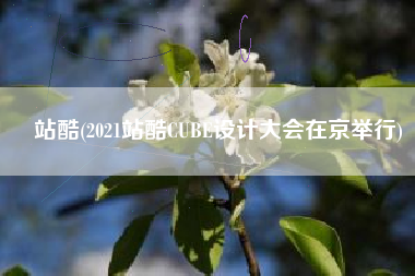 站酷(2021站酷CUBE设计大会在京举行)