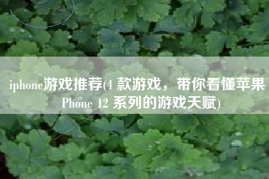 iphone游戏推荐(4 款游戏，带你看懂苹果 iPhone 12 系列的游戏天赋)