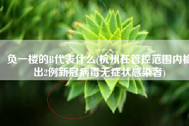 负一楼的B代表什么(杭州在管控范围内检出2例新冠病毒无症状感染者)