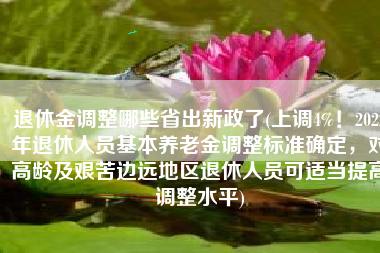 退休金调整哪些省出新政了(上调4%！2022年退休人员基本养老金调整标准确定，对高龄及艰苦边远地区退休人员可适当提高调整水平)