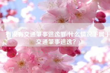 有没有交通肇事逃逸罪(什么情况下属于交通肇事逃逸？)