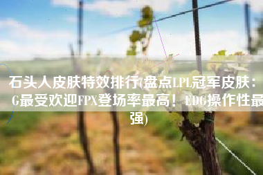 石头人皮肤特效排行(盘点LPL冠军皮肤：IG最受欢迎FPX登场率最高！EDG操作性最强)