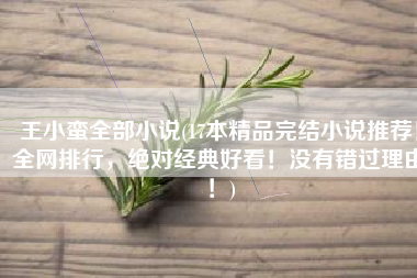 王小蛮全部小说(17本精品完结小说推荐！全网排行，绝对经典好看！没有错过理由！)