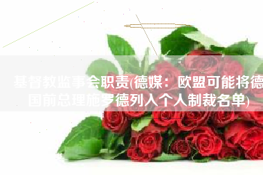 基督教监事会职责(德媒：欧盟可能将德国前总理施罗德列入个人制裁名单)