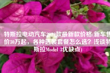 特斯拉电动汽车2022款最新款价格(新车售价30万起，各种选装套餐怎么选？浅谈特斯拉Model 3优缺点)