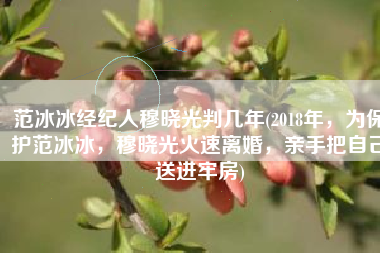 范冰冰经纪人穆晓光判几年(2018年，为保护范冰冰，穆晓光火速离婚，亲手把自己送进牢房)