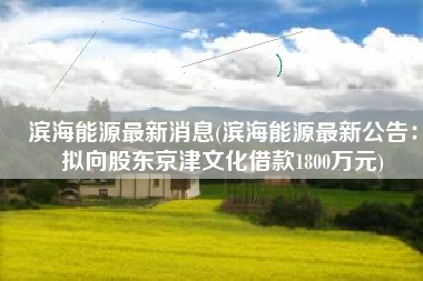 滨海能源最新消息(滨海能源最新公告：拟向股东京津文化借款1800万元)