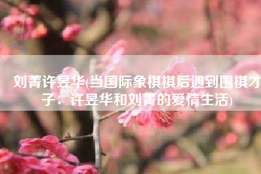 刘菁许昱华(当国际象棋棋后遇到围棋才子：许昱华和刘菁的爱情生活)