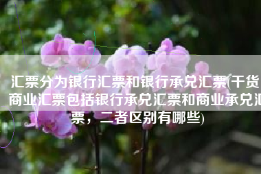 汇票分为银行汇票和银行承兑汇票(干货：商业汇票包括银行承兑汇票和商业承兑汇票，二者区别有哪些)