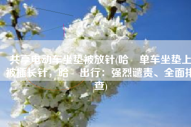 共享电动车坐垫被放针(哈啰单车坐垫上被插长针，哈啰出行：强烈谴责、全面排查)