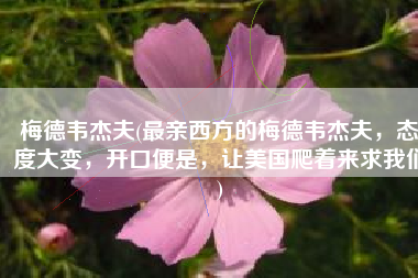 梅德韦杰夫(最亲西方的梅德韦杰夫，态度大变，开口便是，让美国爬着来求我们)