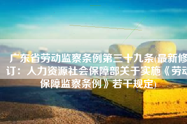 广东省劳动监察条例第三十九条(最新修订：人力资源社会保障部关于实施《劳动保障监察条例》若干规定)