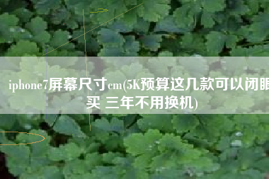 iphone7屏幕尺寸cm(5K预算这几款可以闭眼买 三年不用换机)