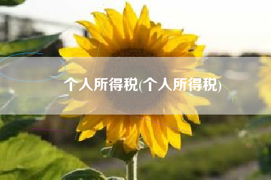 个人所得税(个人所得税)