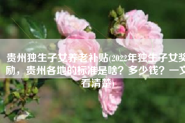 贵州独生子女养老补贴(2022年独生子女奖励，贵州各地的标准是啥？多少钱？一文看清楚)