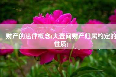 财产的法律概念(夫妻间财产归属约定的性质)