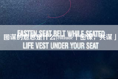 图谋的意思是什么(collude「密谋；共谋」)