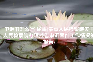 申诉书怎么写 民事(最高人民检察院关于人民检察院办理控告申诉案件工作情况的报告)